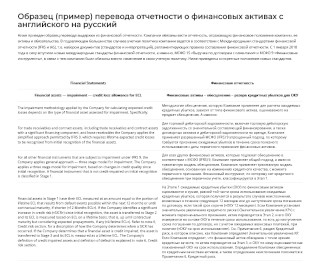Образец перевода финансовой отчетности об активах с английского на русский